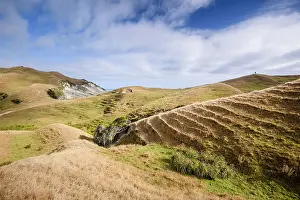 Zealand Prints: Rolling farmland and terraced hills above coastline at Cape Farewell in Puponga Farm Park