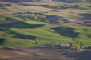 Images Dated 18th May 2009: Rolling hills, The Palouse, Whitman County, Washington State, United States of America