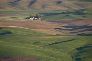 Images Dated 18th May 2009: Rolling hills, The Palouse, Whitman County, Washington State, United States of America