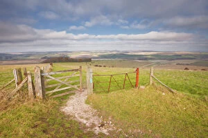 Gate Collection: The rolling hills of the South Downs National Park near Brighton, Sussex, England, United Kingdom