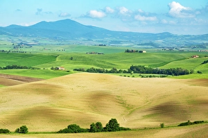 Pastoral Prints: Rolling hills of Val d'Orcia, UNESCO, Tuscany, Italy
