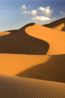 Erg Chebbi Prints: Rolling orange sand dunes and sand ripples in the Erg Chebbi sand sea near Merzouga