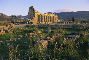 Roman archaeological site