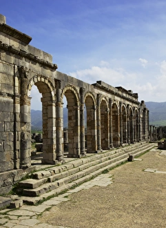 Roman archaeological site, Volubilis, UNESCO World Heritage Site, Meknes Region, Morocco, North Africa, Africa