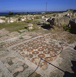 Floors Prints: Roman basilica with fine mosaics dating from the 5th century AD