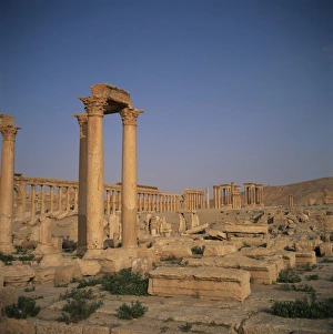 Palmyra Prints: The Roman Baths of Diocletian dating from the 3rd century AD