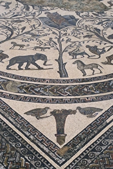 Volubilis Prints: Roman floor mosaic