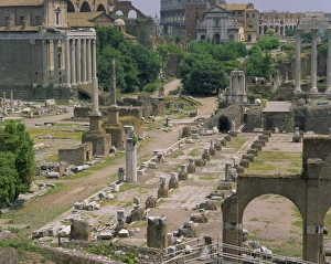 Forum Prints: Roman Forum