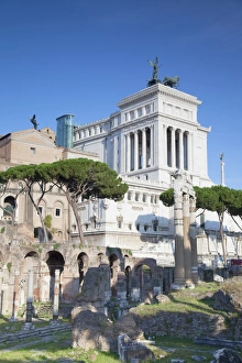 Forum Prints: Roman Forum, UNESCO World Heritage Site