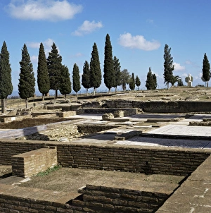 Roman Italica