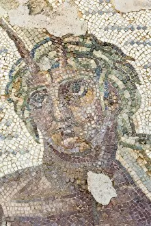 Images Dated 20th June 2006: Roman mosaic, Carthage National Museum, Byrsa Hill, Carthage, UNESCO World Heritage Site, Tunis