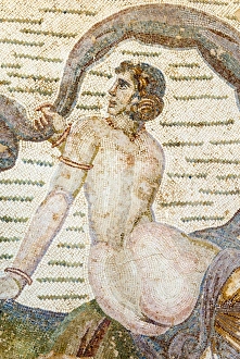 Images Dated 20th June 2006: Roman mosaic, Carthage National Museum, Byrsa Hill, Carthage, UNESCO World Heritage Site, Tunis