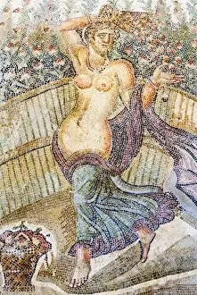 Images Dated 20th June 2006: Roman mosaic, Carthage National Museum, Byrsa Hill, Carthage, UNESCO World Heritage Site, Tunis