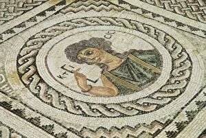 Images Dated 28th March 2007: Roman mosaic, Kourion (Curium), Limassol, Cyprus, Europe