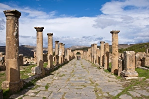 Algeria Prints: The Roman ruins of Djemila, UNESCO World Heritage Site, Algeria, North Africa, Africa