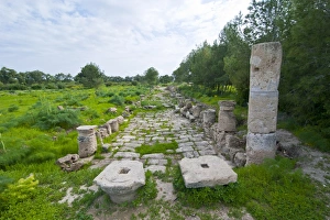 Images Dated 10th March 2008: The Roman ruins of Salamis, Turkish part of Cyprus, Europe