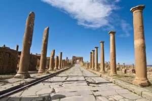 Images Dated 31st October 2010: The Roman ruins, Timgad, UNESCO World Heritage Site, Algeria, North Africa, Africa