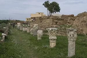 Images Dated 22nd December 2007: Roman site of Cherchell, buried under the new city, Cherchell, Algeria