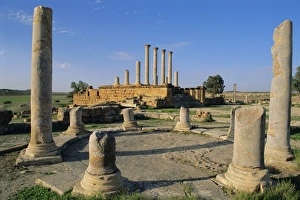 Crumbling Prints: The Roman site of Thuburbo Majus