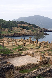 Images Dated 22nd December 2007: Roman site of Tipasa, UNESCO World Heritage Site, Algeria, North Africa, Africa