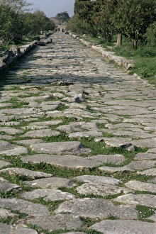 Cobbled Prints: Roman street