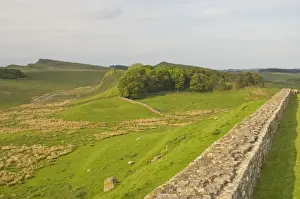 Housesteads Prints: Roman Wall to east at Housesteads Fort to Sewing Shields Crags, Hadrians Wall