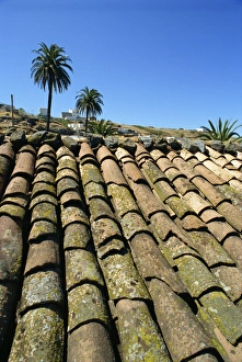 La Gomera Prints: Roof tiles, southeast area near Las Hayas, La Gomera, Canary Islands, Spain