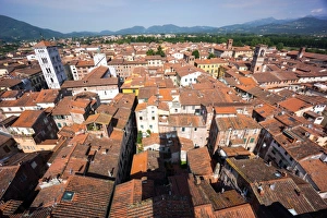 Lucca Prints: Roofscape from Torre delle Ore, Lucca, Tuscany, Italy, europe
