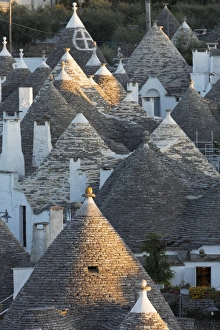 Alberobello Prints: Rooftops of traditional trullos (trulli) in Alberobello