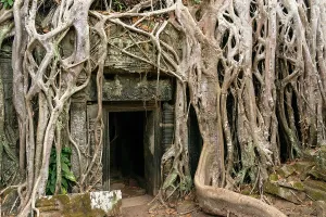 Relics Prints: Roots of trees envelop ancient doorway at Ta Prohm temple in Angkor