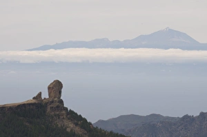 Images Dated 29th December 2008: Roque Bentaiga and the volcano of El Teide in the background, Canary Islands