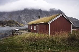 Rorbu (fishermans hut) with grass roof by fjord, Lofoten Islands, Norway