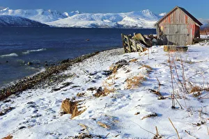 Rorbu Prints: Rorbu and fjord near Sommaroy, Troms og Finnmark, north west Norway, Scandinavia, Europe