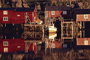 Cabins Prints: Rorbuer (cabins) at Kremmervika, Ballstad, Lofoten, taken at 4 o clock in the morning