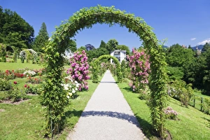 View Through Prints: Rose arches, Rose Garden Beutig