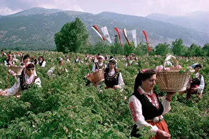 Festivity Prints: Rose Festival, Bulgaria, Europe