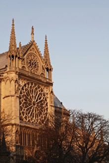 Rose Window Prints: Rose window on South facade, Notre Dame Cathedral, Paris, France, Europe