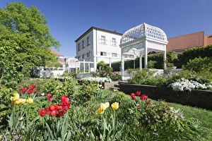 Rosengarten Prints: Rosengarten (rose garden) in spring, Ettlingen, Baden-Wurttemberg, Germany, Europe
