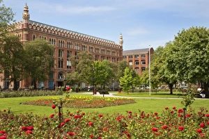 Roses in bloom in Park Square, Leeds, West Yorkshire, Yorkshire, England, United Kingdom, Europe