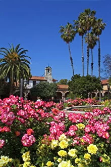 Flowering Collection: Roses, Central Courtyard, Mission San Juan Capistrano, Orange County, California