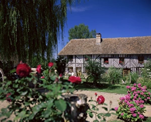 Calvados Prints: Roses in front of typical timbered farmhouse, near St. Pierre-sur-Dives