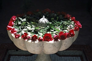 Rose Prints: Roses, Villa des Oranjes