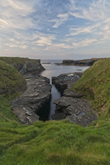 County Clare Prints: Ross, Loop Head, County Clare, Munster, Republic of Ireland, Europe