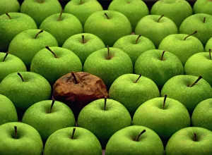 Uniformity Prints: One rotten apple amongst other green apples
