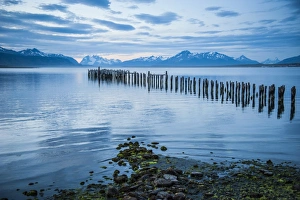 Groyne Prints: Rotten pier at dusk in Puerto Natales, Patagonia, Chile, South America
