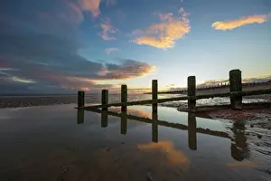 Rotting upright wooden posts of old sea defences on Winchelsea beach, Winchelsea