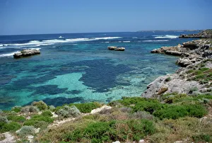 Images Dated 1st February 2008: Rottnest Island, Perth, Western Australia, Australia, Pacific