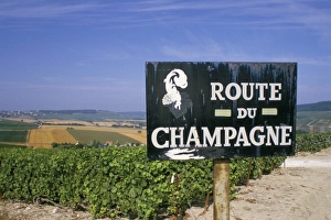 Marne Prints: Route du Champagne sign, near Epernay, Marne, Champagne Ardenne, France, Europe
