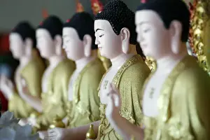 Typically Vietnamese Prints: Row of Buddha statues, Hoi Tuong Te Nguoi Hoa Buddhist Chinese temple, Phu Quoc, Vietnam