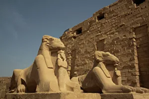 Pharaoh Prints: Row of Ram-Headed Sphinxes, Corridor Entrance